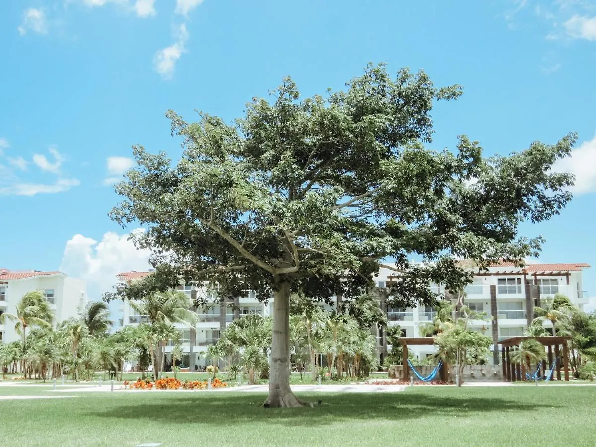 Apartament Impecable Y Lujoso Departamento Frente Al Mar En Mareazul Del Club De Golf Corasol Playa del Carmen